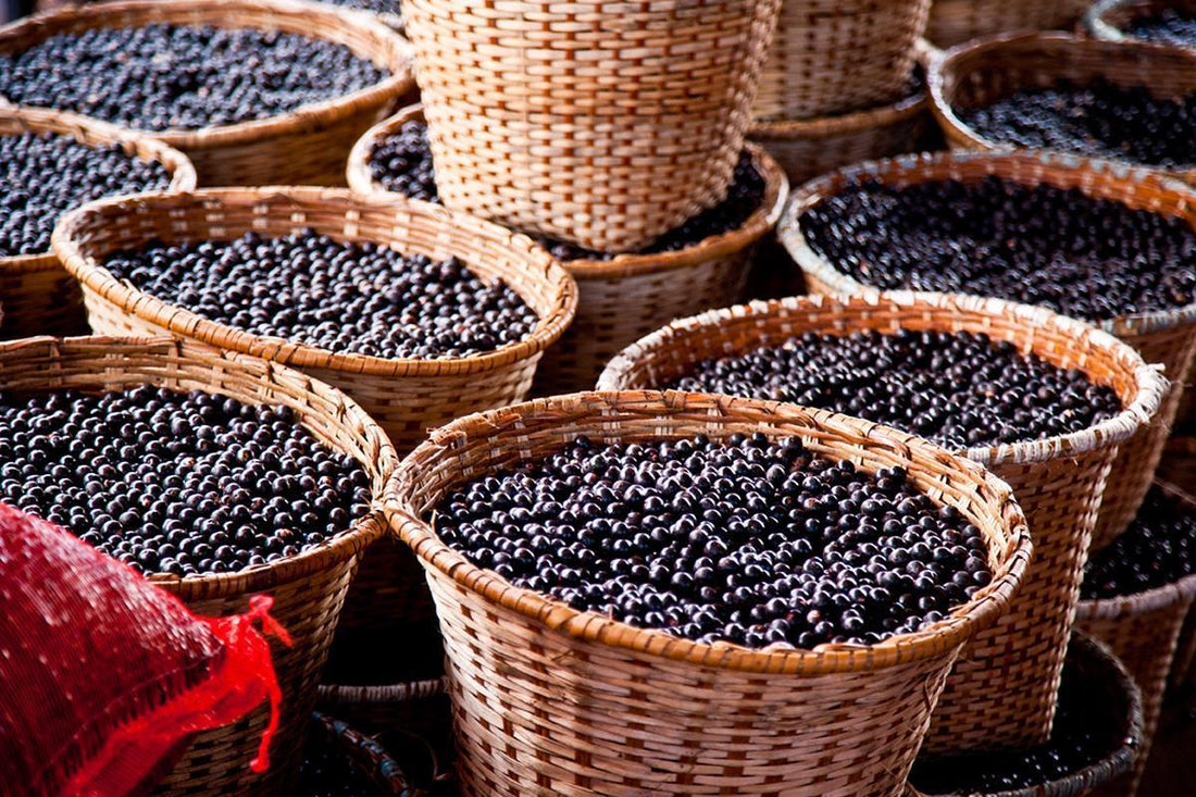 5 Things Everyone Should Know About Açaí